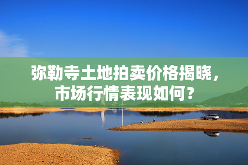 弥勒寺土地拍卖价格揭晓，市场行情表现如何？