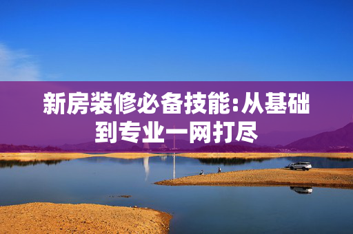 新房装修必备技能:从基础到专业一网打尽