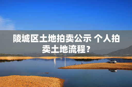 陵城区土地拍卖公示 个人拍卖土地流程？