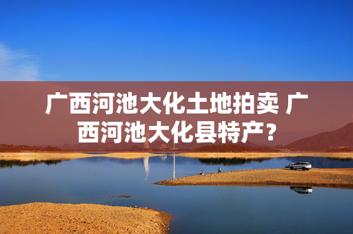 广西河池大化土地拍卖 广西河池大化县特产？