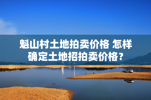 魁山村土地拍卖价格 怎样确定土地招拍卖价格？