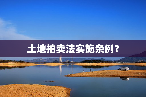 土地拍卖法实施条例？