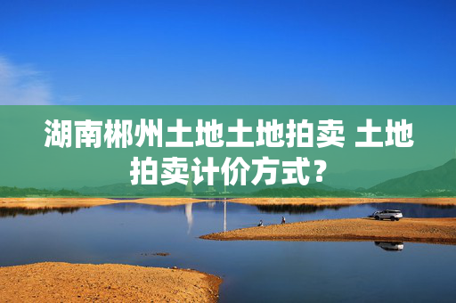 湖南郴州土地土地拍卖 土地拍卖计价方式？