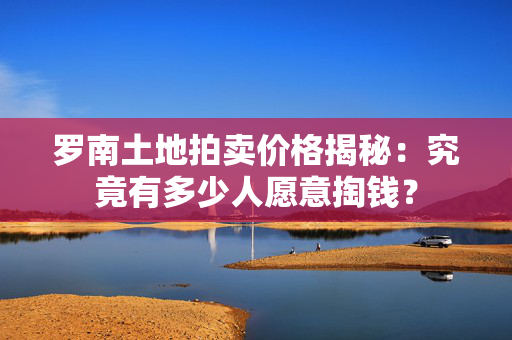 罗南土地拍卖价格揭秘：究竟有多少人愿意掏钱？