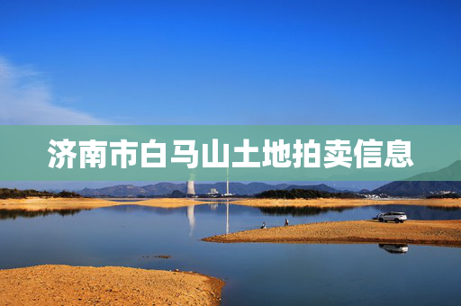 济南市白马山土地拍卖信息