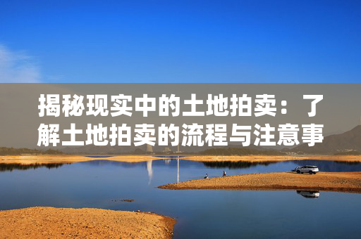 揭秘现实中的土地拍卖：了解土地拍卖的流程与注意事项