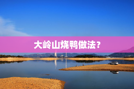 大岭山烧鸭做法？