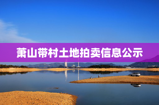 萧山带村土地拍卖信息公示