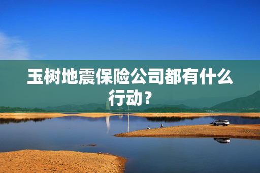 玉树地震保险公司都有什么行动？