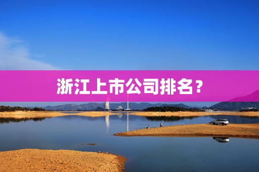 浙江上市公司排名？