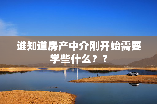 谁知道房产中介刚开始需要学些什么？？