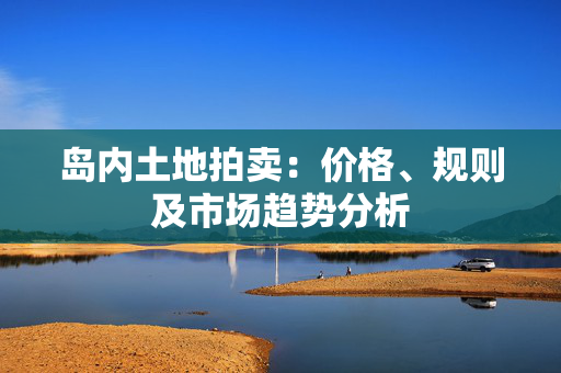 岛内土地拍卖：价格、规则及市场趋势分析