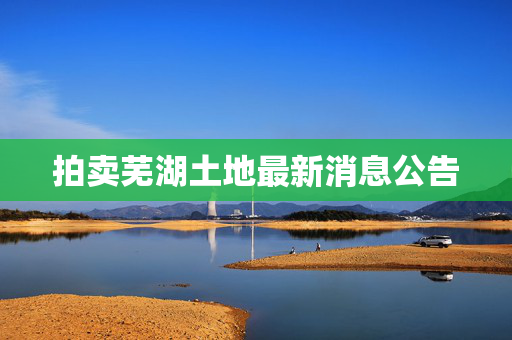 拍卖芜湖土地最新消息公告