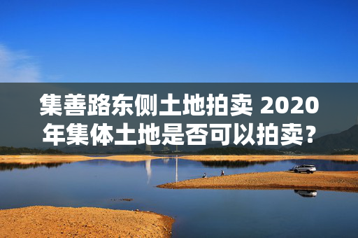 集善路东侧土地拍卖 2020年集体土地是否可以拍卖？