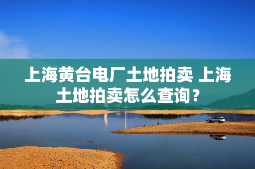 上海黄台电厂土地拍卖 上海土地拍卖怎么查询？