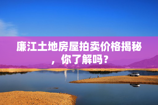 廉江土地房屋拍卖价格揭秘，你了解吗？