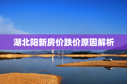 湖北阳新房价跌价原因解析