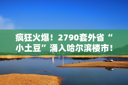 疯狂火爆！2790套外省“小土豆”涌入哈尔滨楼市！