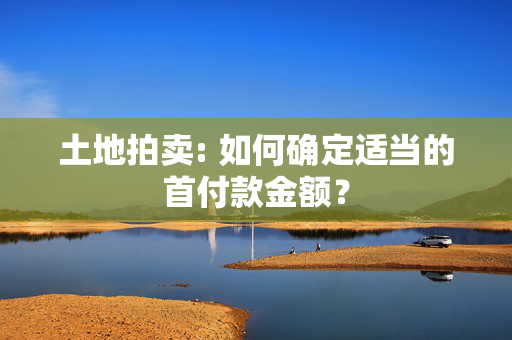 土地拍卖: 如何确定适当的首付款金额？