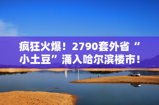 疯狂火爆！2790套外省“小土豆”涌入哈尔滨楼市！