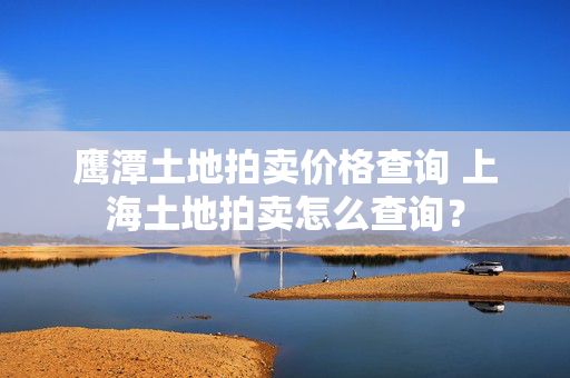 鹰潭土地拍卖价格查询 上海土地拍卖怎么查询？