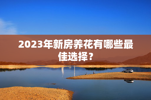 2023年新房养花有哪些最佳选择？