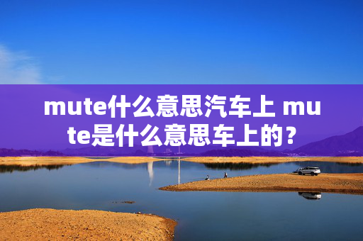 mute什么意思汽车上 mute是什么意思车上的？