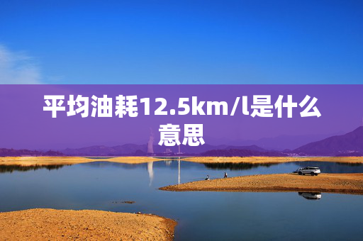 平均油耗12.5km/l是什么意思