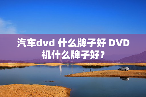 汽车dvd 什么牌子好 DVD机什么牌子好？