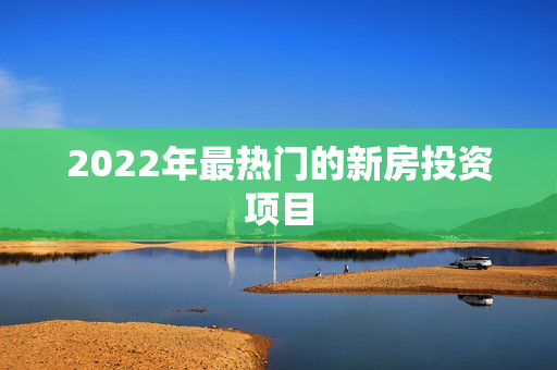 2022年最热门的新房投资项目