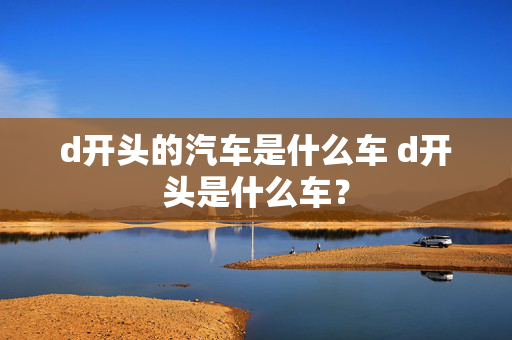 d开头的汽车是什么车 d开头是什么车？