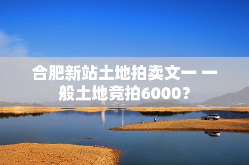 合肥新站土地拍卖文一 一般土地竞拍6000？