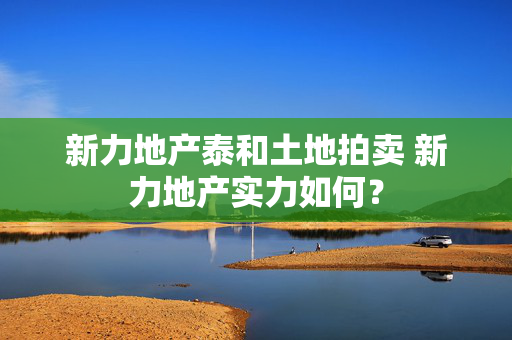 新力地产泰和土地拍卖 新力地产实力如何？