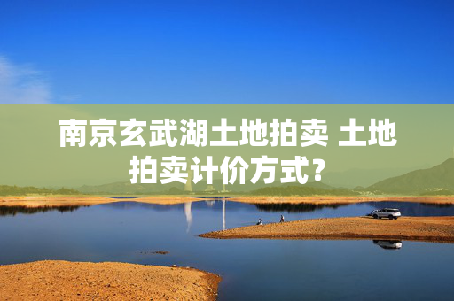 南京玄武湖土地拍卖 土地拍卖计价方式？