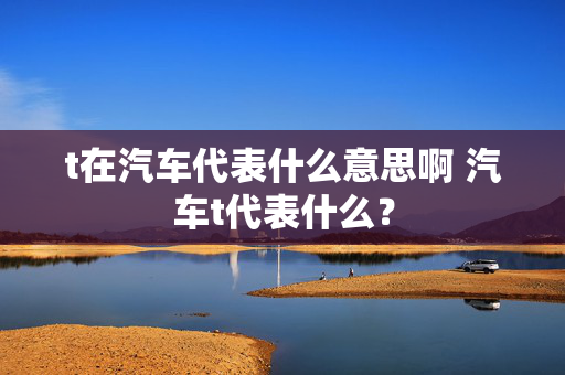 t在汽车代表什么意思啊 汽车t代表什么？