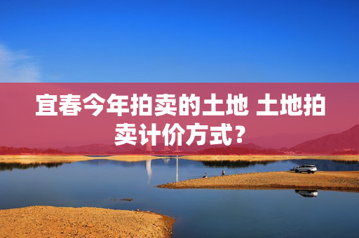 宜春今年拍卖的土地 土地拍卖计价方式？