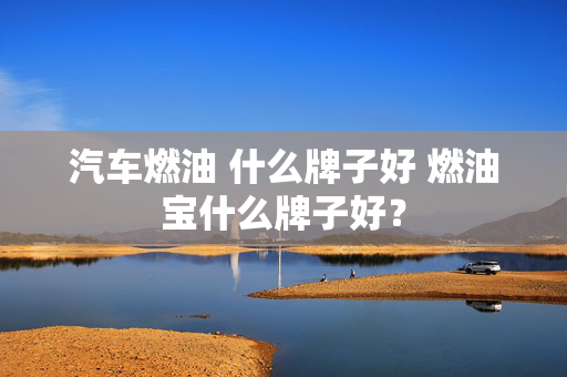 汽车燃油 什么牌子好 燃油宝什么牌子好？