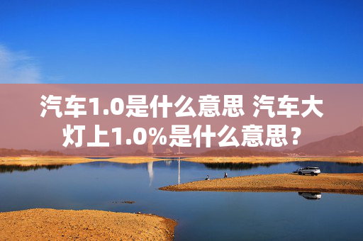 汽车1.0是什么意思 汽车大灯上1.0%是什么意思？