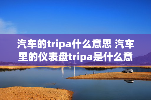 汽车的tripa什么意思 汽车里的仪表盘tripa是什么意思？