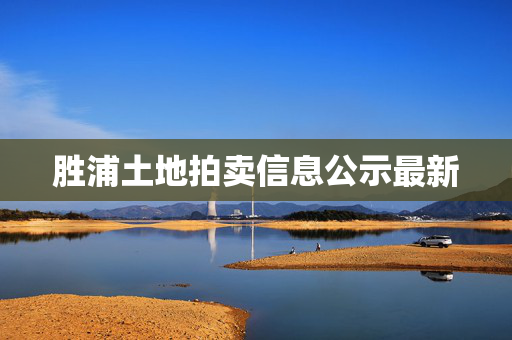 胜浦土地拍卖信息公示最新