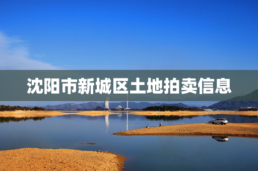 沈阳市新城区土地拍卖信息