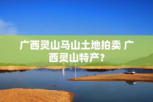 广西灵山马山土地拍卖 广西灵山特产？