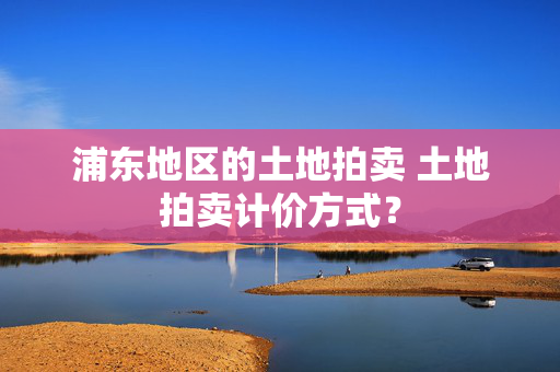 浦东地区的土地拍卖 土地拍卖计价方式？