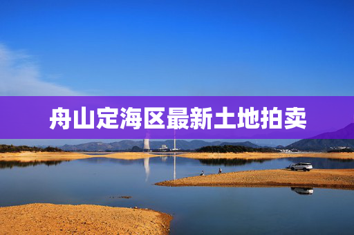 舟山定海区最新土地拍卖