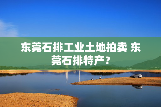 东莞石排工业土地拍卖 东莞石排特产？