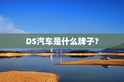 DS汽车是什么牌子？