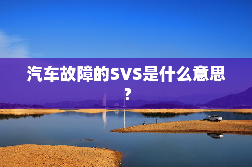 汽车故障的SVS是什么意思？