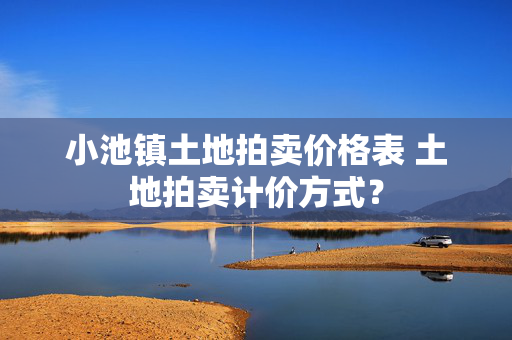 小池镇土地拍卖价格表 土地拍卖计价方式？