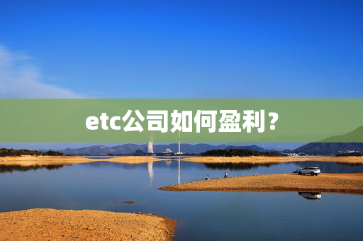 etc公司如何盈利？