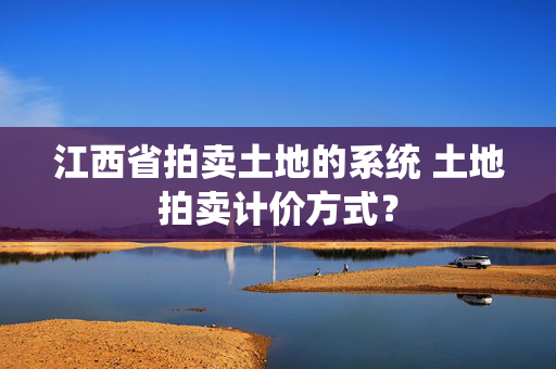 江西省拍卖土地的系统 土地拍卖计价方式？